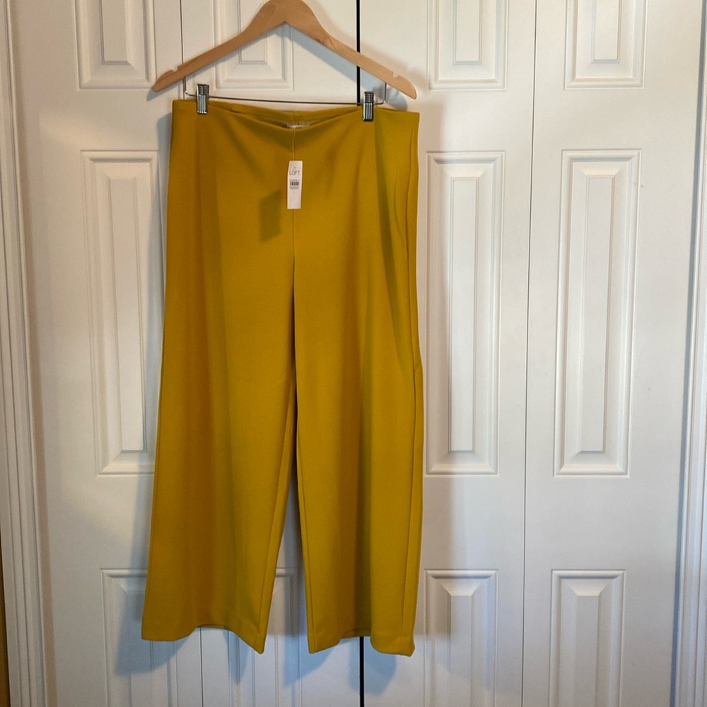 NWT Loft pull on wide leg size large pants